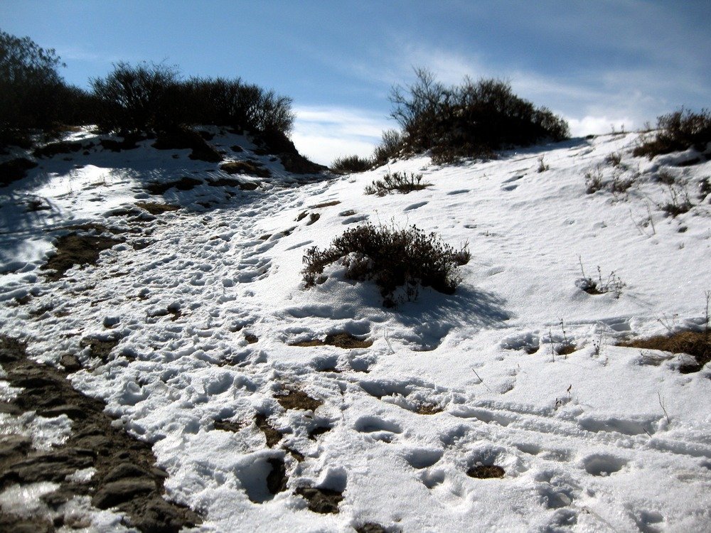 Sandakphu Phalut Trek