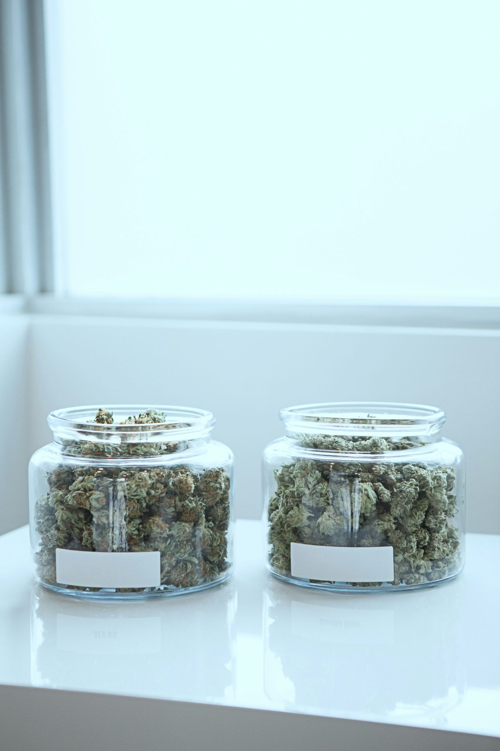 Marijuana Dispensary