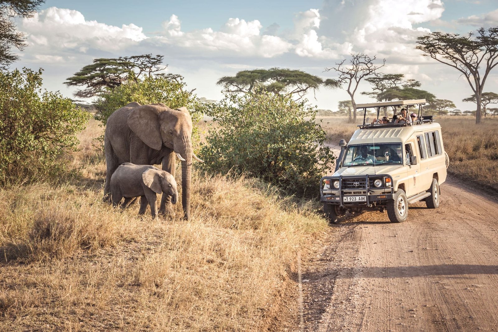 safari holidays