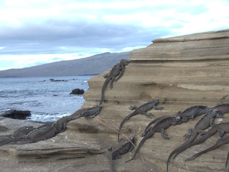 Galapagos private yacht