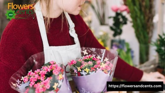 Flowers to Attract Bees and Butterflies