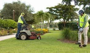 Landscaping services