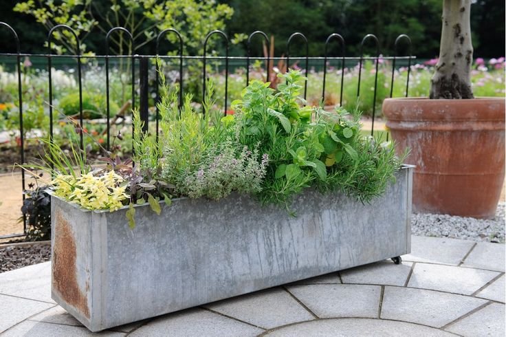 Metal Trough Planters