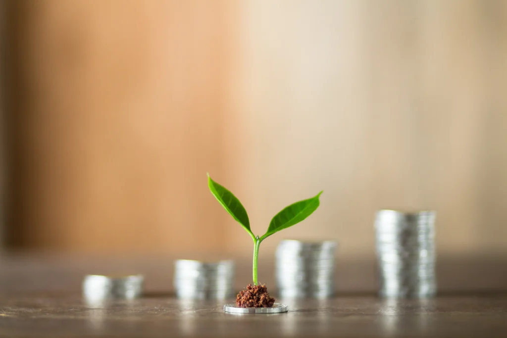 trade finance consulting