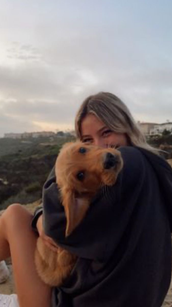 Best Tricks for Busy Eurpeans For Dogs Grooming - Visit Now