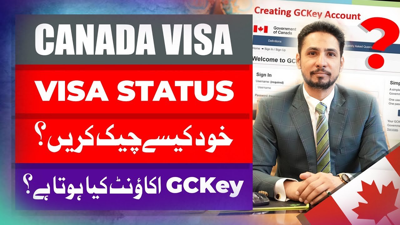 NILE Consultant Visa Services